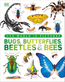 Паперова книга «Our World in Pictures: Bugs, Butterflies, Beetles and Bees», автор DK (Dorling Kindersley) - фото №1 - мініатюра
