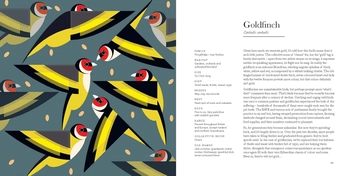 Паперова книга «I Like Birds: A Guide to Britain's Avian Wildlife », автор Стюарт Кокс - фото №6 - мініатюра