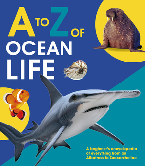 Бумажная книга «A to Z of Ocean Life» - фото №1 - миниатюра