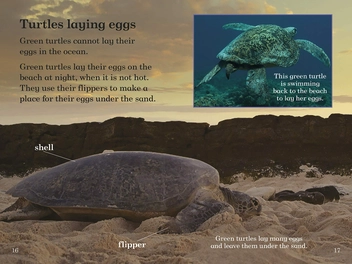Бумажная книга «BBC Earth: Where Animals Live - Ladybird Readers Level 3» - фото №3 - миниатюра