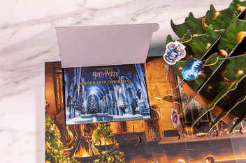 Бумажная книга «Harry Potter. A Hogwarts Christmas Pop-Up» - фото №2 - миниатюра