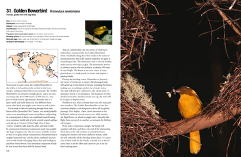Бумажная книга «100 Birds to See in Your Lifetime: The Ultimate Wish-list for Birders Everywhere», автор Дэвид Чандлер - фото №6 - миниатюра