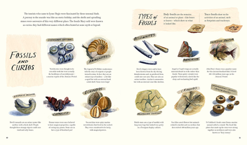 Бумажная книга «The Fossil Hunter», автор Кейт Винтер - фото №2 - миниатюра