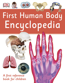Паперова книга «First Human Body Encyclopedia» - фото №1 - мініатюра