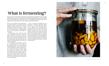 Паперова книга «Ferment for Good», автор Шарон Флінн - фото №8 - мініатюра