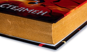 Паперова книга «Скандер та викрадення однорога», автор А. Ф. Стедмен - фото №4 - мініатюра