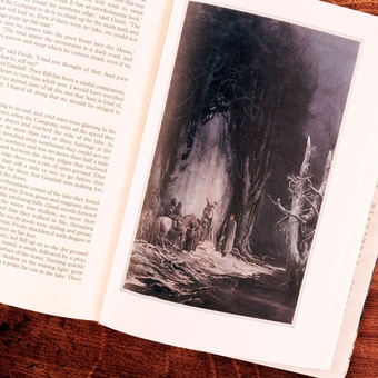 Бумажная книга «The Fellowship of the Ring», автор Джон Р. Р. Толкин - фото №8 - миниатюра