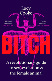 Бумажная книга «Bitch», автор Люси Кук - фото №1 - миниатюра