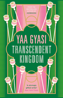Паперова книга «Transcendent Kingdom», автор Йаа Гьясі - фото №1 - мініатюра