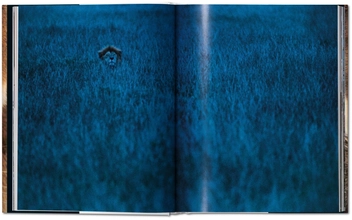 Бумажная книга «Frans Lanting. Eye to Eye», автор Кристина Экстром - фото №3 - миниатюра