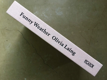 Паперова книга «Funny Weather: Art in an Emergency», автор Олівія Ленґ - фото №2 - мініатюра