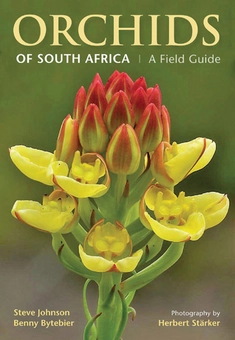 Бумажная книга «Orchids Of South Africa», авторов Стив Джонсон, Бенни Байтебье - фото №2 - миниатюра