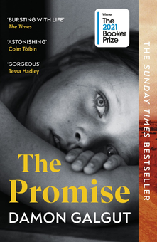 Паперова книга «The Promise», автор Деймон Гелгут - фото №1 - мініатюра