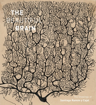 Паперова книга «The Beautiful Brain: The Drawings of Santiago Ramon y Cajal», авторів Альфонсо Араке, Ерік Ньюман, Ларрі Свенсон - фото №1 - мініатюра