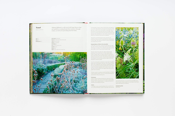 Паперова книга «Wild about Weeds. Garden Design with Rebel Plants», автор Джек Воллінгтон - фото №10 - мініатюра