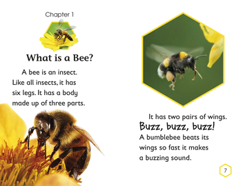 Бумажная книга «Amazing Bees. Buzzing with Bee Facts! » - фото №3 - миниатюра