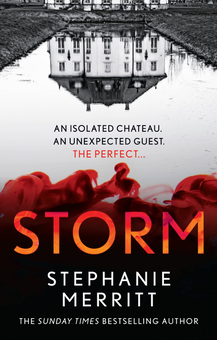Бумажная книга «Storm», автор Стефани Мерритт - фото №1 - миниатюра