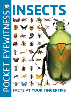 Бумажная книга «Pocket Eyewitness Insects. Facts at Your Fingertips» - фото №1 - миниатюра