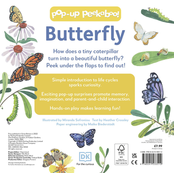 Паперова книга «Pop-Up Peekaboo! Butterfly» - фото №2 - мініатюра