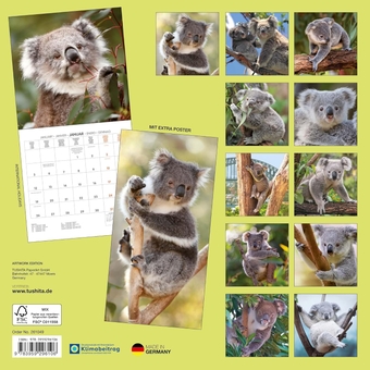 Паперова книга «Koalas 2026» - фото №2 - мініатюра