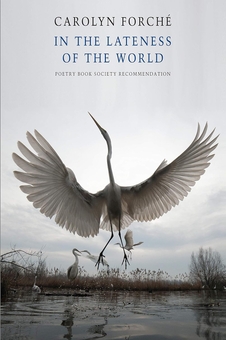 Бумажная книга «In the Lateness of the World», автор Кэролин Форше - фото №1 - миниатюра