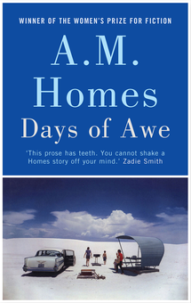 Бумажная книга «Days of Awe», автор Эми М. Хоумс - фото №1 - миниатюра