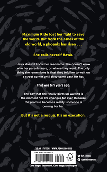 Бумажная книга «Hawk. A Maximum Ride Novel. Book 1», автор Джеймс Паттерсон - фото №2 - миниатюра