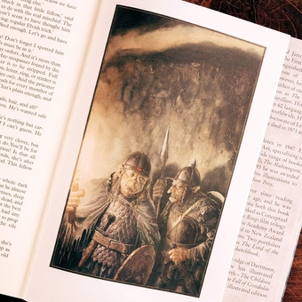 Бумажная книга «Two Towers», автор Джон Р. Р. Толкин - фото №2 - миниатюра