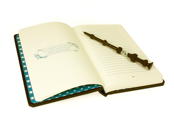 Бумажная книга «Harry Potter Pensieve Memory Set» - фото №2 - миниатюра