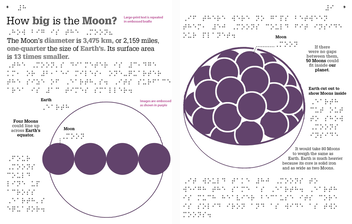 Паперова книга «DK Braille It Can't Be True! » - фото №4 - мініатюра