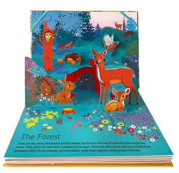 Бумажная книга «The Pop-Up Guide. Animals», автор Мод Пулен - фото №3 - миниатюра