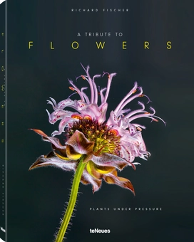 Паперова книга «Tribute to Flowers. Plants Under Pressure», автор Річард Фішер - фото №1 - мініатюра