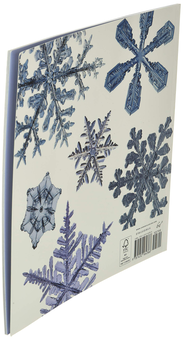 Бумажная книга «The Story of Snow. The Science of Winter's Wonder», автор Джон Нельсон - фото №4 - миниатюра