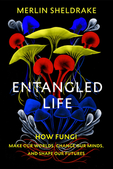 Бумажная книга «Entangled Life. How Fungi Make Our Worlds, Change Our Minds and Shape Our Futures», автор Мерлин Шелдрейк - фото №1 - миниатюра