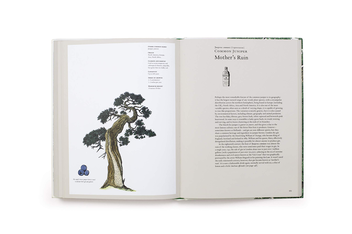 Бумажная книга «Story of Trees. And How They Changed the Way We Live», авторов Дэвид Уэст, Кевин Хоббс - фото №9 - миниатюра