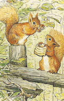 Паперова книга «The World of Peter Rabbit. A Box of Postcards», автор Беатріс Поттер - фото №2 - мініатюра