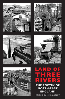 Бумажная книга «Land of Three Rivers», автор Нил Эстли - фото №1 - миниатюра