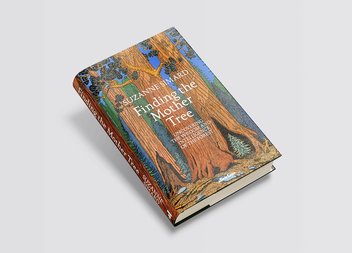 Бумажная книга «Finding the Mother Tree », автор Сюзанна Симард - фото №4 - миниатюра