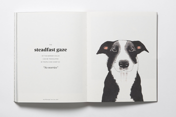 Бумажная книга «The Book of the Dog. Dogs in Art», автор Ангус Хайленд - фото №4 - миниатюра