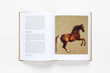 Бумажная книга «Sensations. The Story of British Art from Hogarth to Banksy», автор Джонатан Джонс - фото №7 - миниатюра