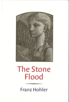 Паперова книга «The Stone Flood», автор Франц Холер - фото №2 - мініатюра