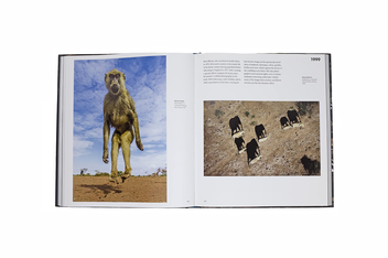 Бумажная книга «Into the Wild. The Story of the World's Greatest Wildlife Photography», автор Джемма Пэдли - фото №9 - миниатюра