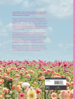 Бумажная книга «Ranunculus. Beautiful Buttercups for Home and Garden», автор Наоми Слэйд - фото №2 - миниатюра