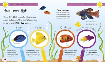 Бумажная книга «Sharks and Other Sea Creatures. Full of Fun Facts and Activities» - фото №4 - миниатюра
