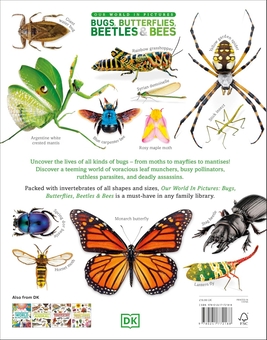 Паперова книга «Our World in Pictures: Bugs, Butterflies, Beetles and Bees», автор DK (Dorling Kindersley) - фото №2 - мініатюра