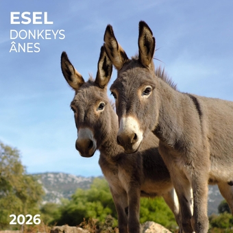 Бумажная книга «Esel/Donkey/Anes 2026» - фото №1 - миниатюра