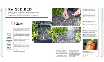 Бумажная книга «Veg in One Bed. How to Grow an Abundance of Food in One Raised Bed, Month by Month», автор Хью Ричардс - фото №7 - миниатюра