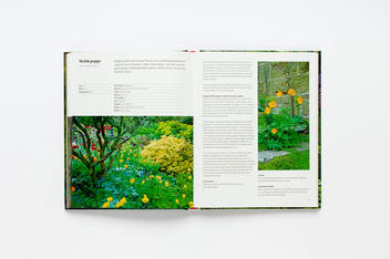 Паперова книга «Wild about Weeds. Garden Design with Rebel Plants», автор Джек Воллінгтон - фото №11 - мініатюра
