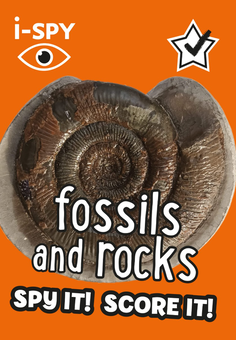 Паперова книга «i-SPY Fossils and Rocks. Spy it! Score it!» - фото №1 - мініатюра