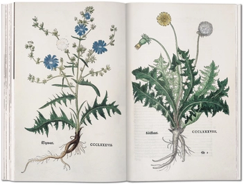 Бумажная книга «Leonhart Fuchs: The New Herbal of 1543», автор Вернер Дрессендорфен - фото №2 - миниатюра